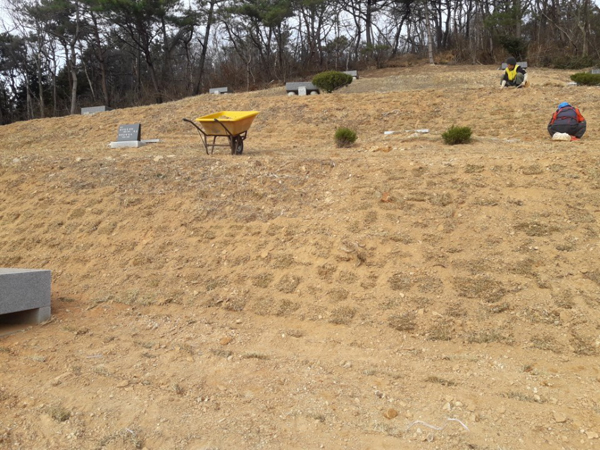 나주잔디 PC 이미지 570604