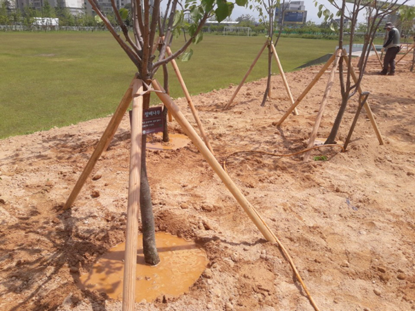 나주잔디 PC 이미지 570606