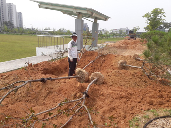 나주잔디 PC 이미지 570607