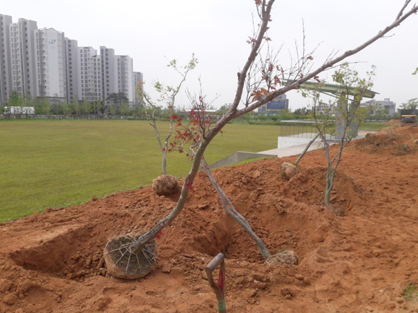 나주잔디 PC 이미지 570608