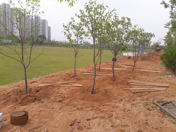 나주잔디 PC 이미지 570609