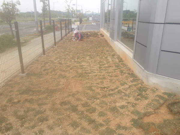 나주잔디 PC 이미지 570611