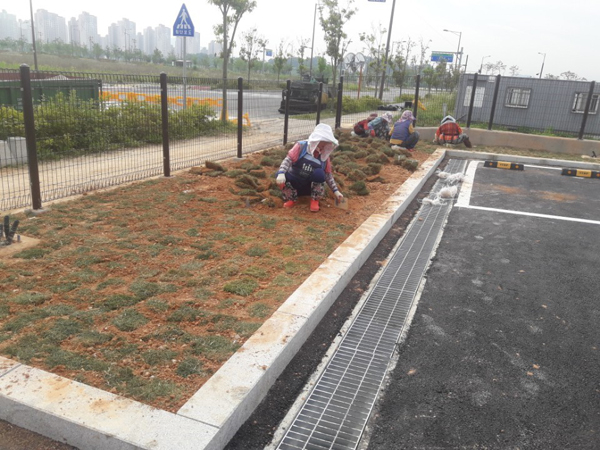 나주잔디 PC 이미지 570603