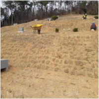 나주잔디 PC 갤러리 17