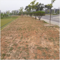 나주잔디 PC 갤러리 2