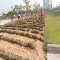 나주잔디 PC 갤러리 0