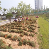 나주잔디 PC 갤러리 1