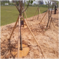 나주잔디 PC 갤러리 15