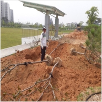 나주잔디 PC 갤러리 14