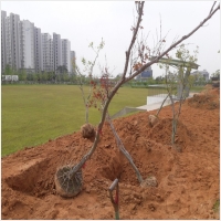 나주잔디 PC 갤러리 13