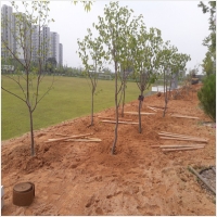 나주잔디 PC 갤러리 12