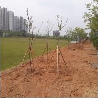 나주잔디 PC 갤러리 11