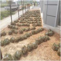 나주잔디 PC 갤러리 7