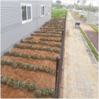 나주잔디 PC 갤러리 5