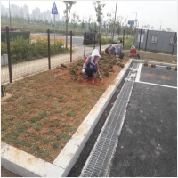 나주잔디 PC 갤러리 18