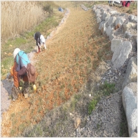 나주잔디 PC 갤러리 16